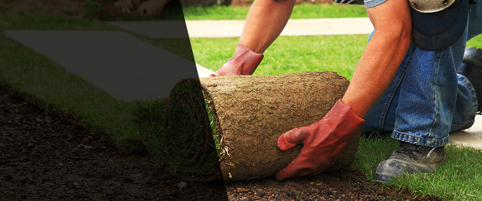 Sherburne Landscapers